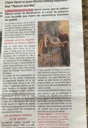 article Debilly Harel sculpteur plasticienne