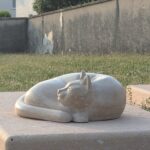 chat cimetière
