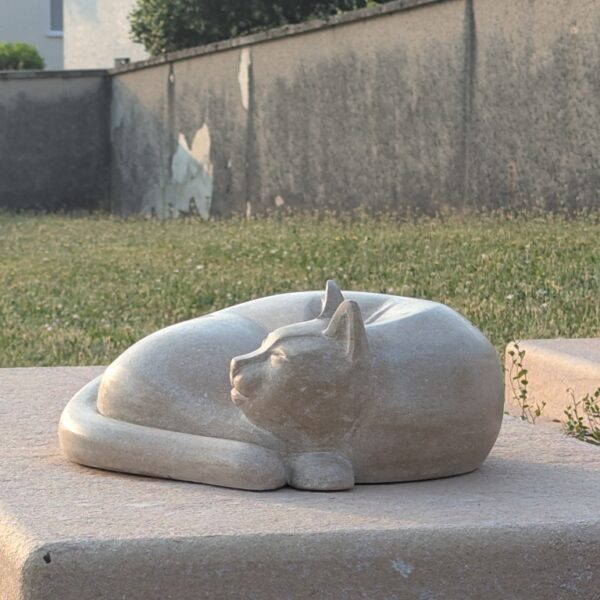 chat cimetière