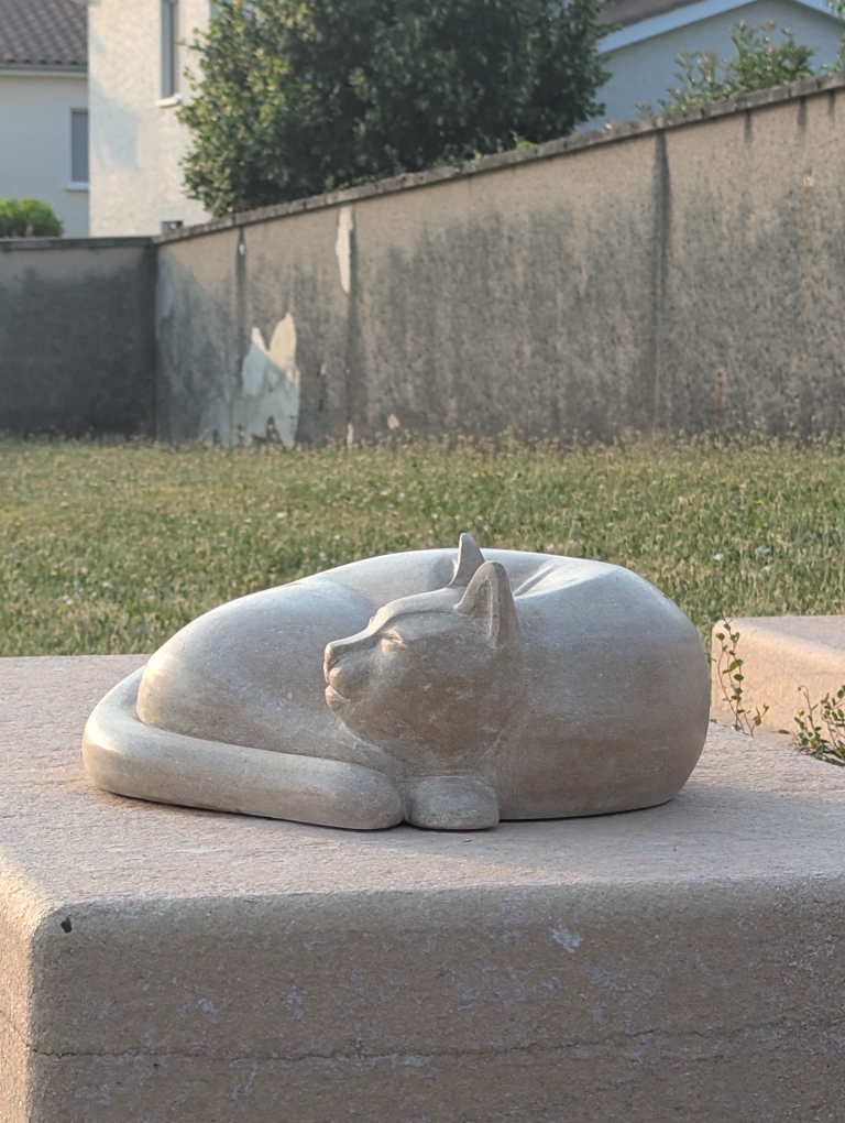 chat cimetière